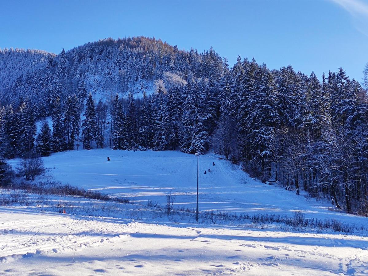 Osrodek Wypoczynkowy Radosno Otel Sokolowsko Dış mekan fotoğraf